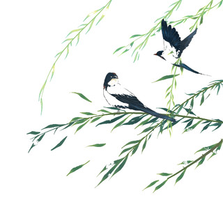 春天在柳枝上飞舞的燕子GIF动态图燕子元素